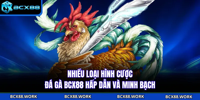 ĐÁ GÀ Nhiều loại hình cược đá gà BCX88 hấp dẫn và minh bạch